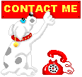 Contatos_on_line